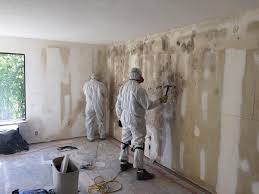 Best Water Damage & Mold Remediation  in USA